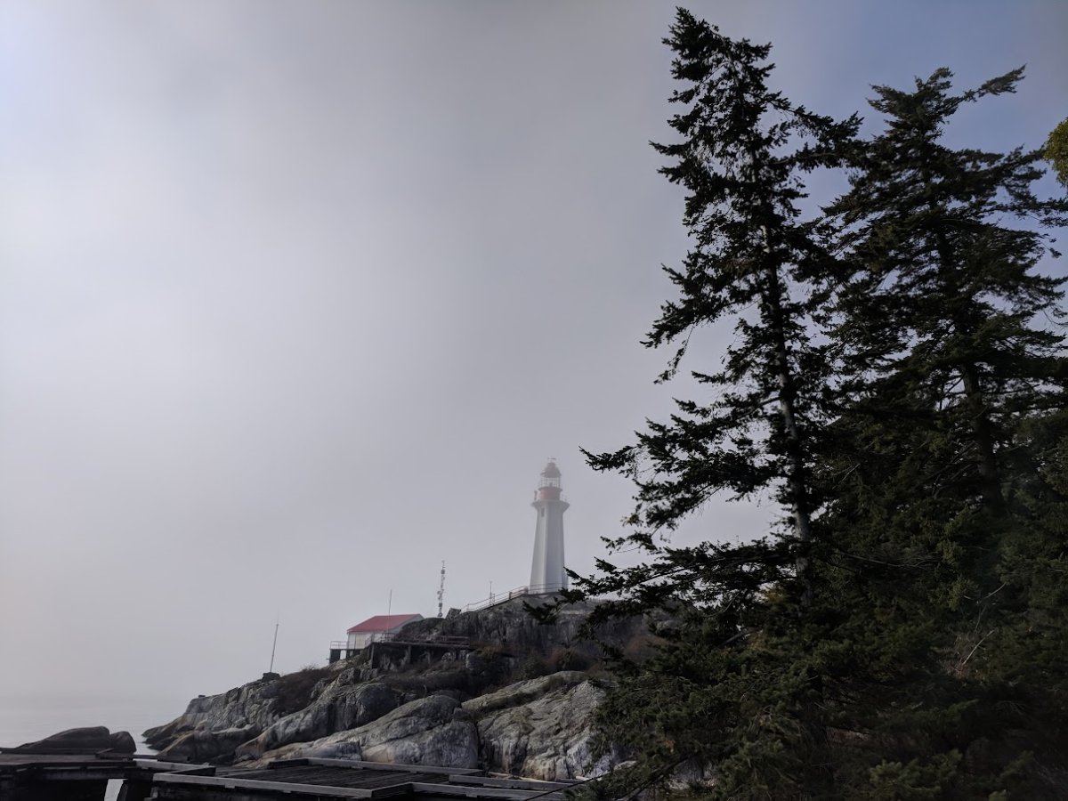 Lighthouse Park is one of three popular West Vancouver parks that will begin charging $3.75 per hour for parking next fall. 