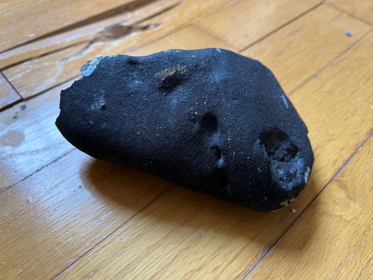 A black, oblong rock-like structure believed to be a meteorite.