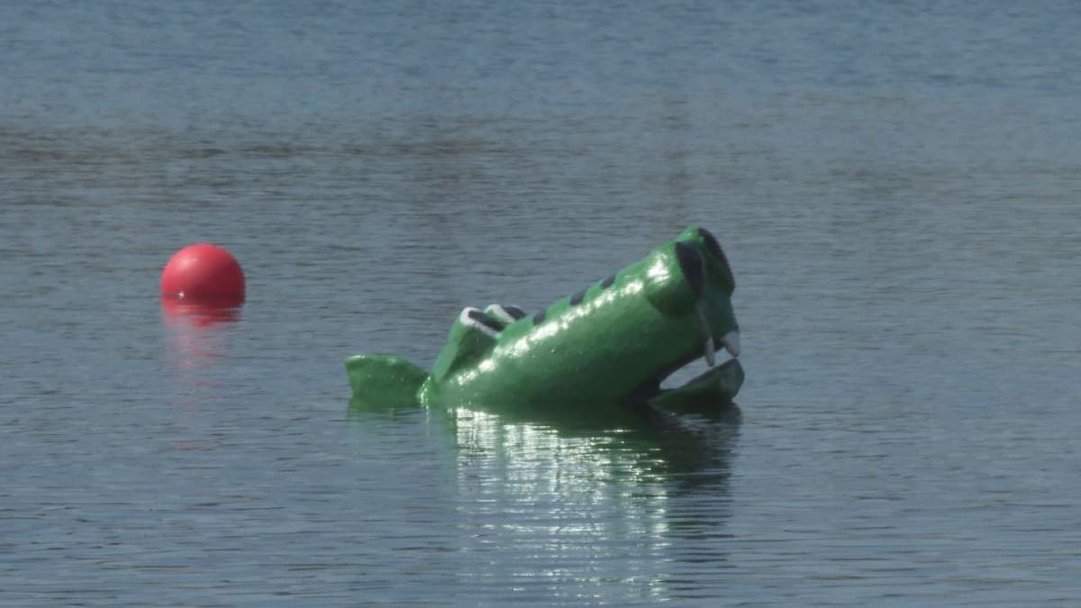 Emily the dragon poking its head up from the water.