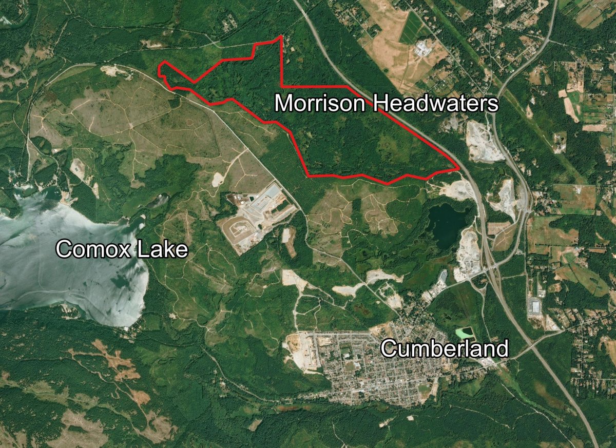 The protected area of the Morrison Headwaters is seen in a map next to Comox Lake and Cumberland, B.C. Environmental organizations, concerned citizens, private donors and others have recently fundraised enough to buy the land, protecting it from industry forever.