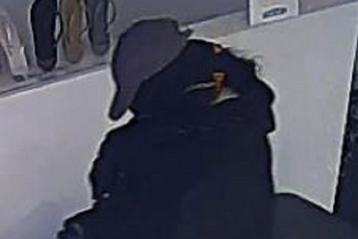 Woman sought in Logan Avenue break in