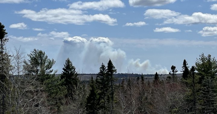 Wildfire burning ‘out of control’ in Shelburne County, officials say – Halifax | Globalnews.ca