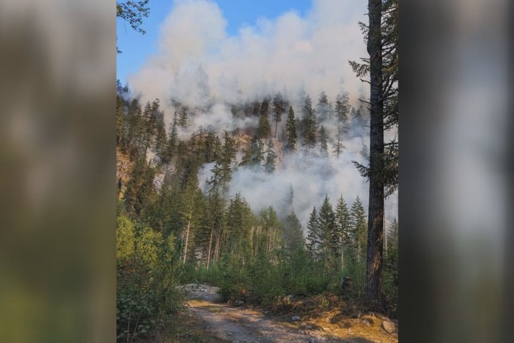 15-hectare wildfire burning out of control on Squamish River FSR