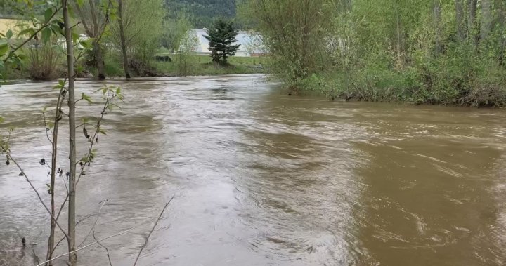 Lumby, B.C. bracing for potential flooding