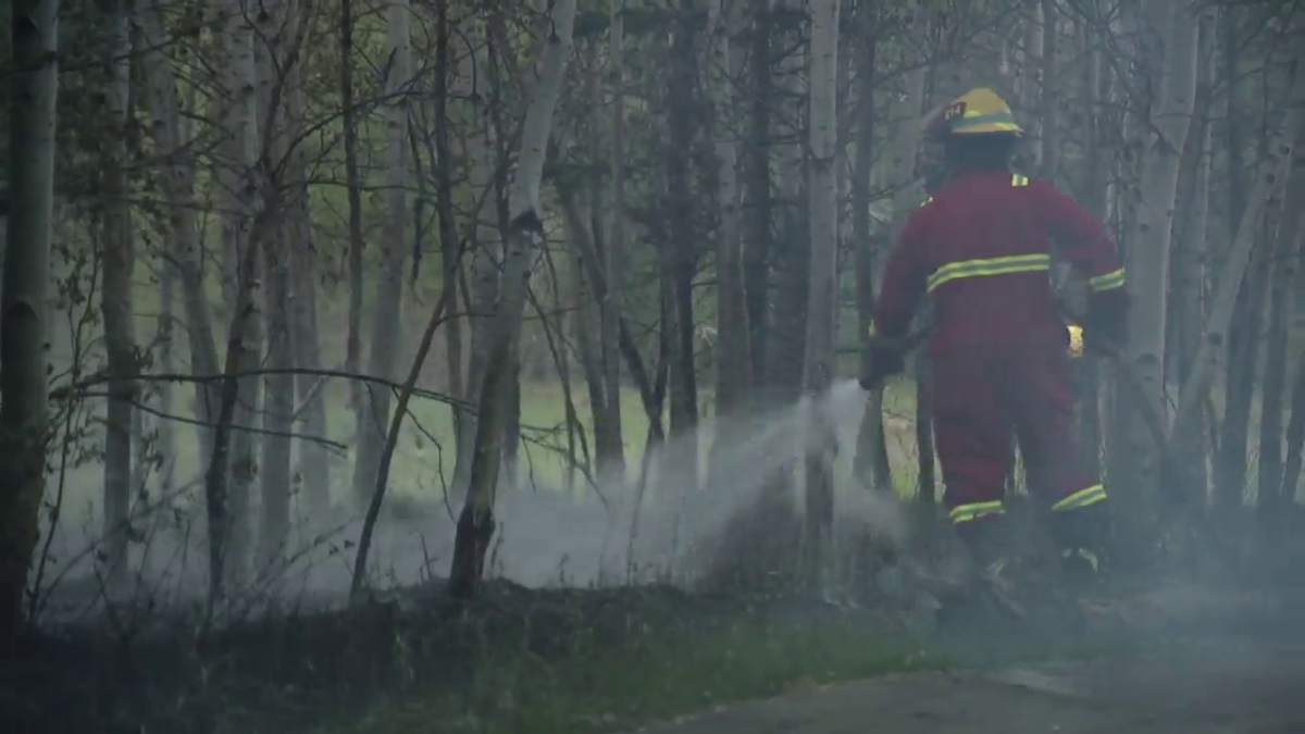 Calgary firefighters quickly extinguished two fires in Fish Creek Park on Friday evening. 