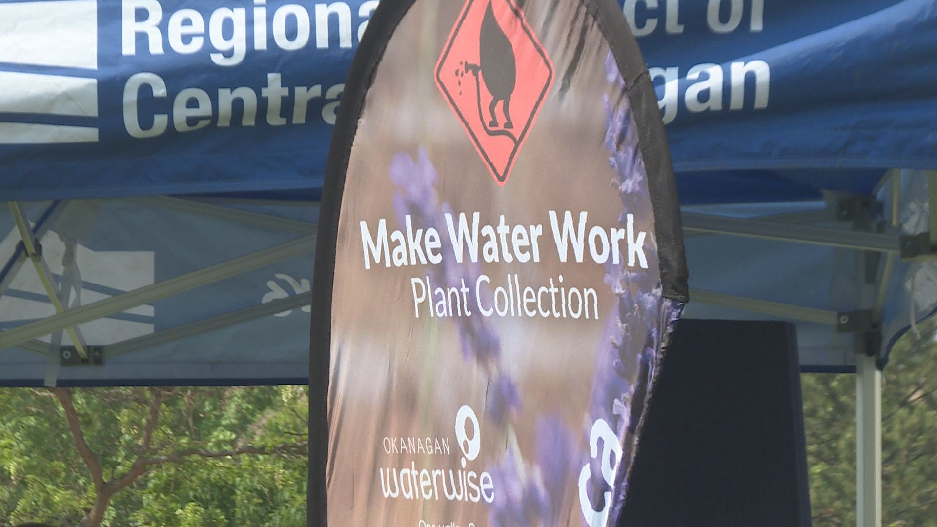 Okanagan residents encouraged to conserve water – Okanagan | 24CA News