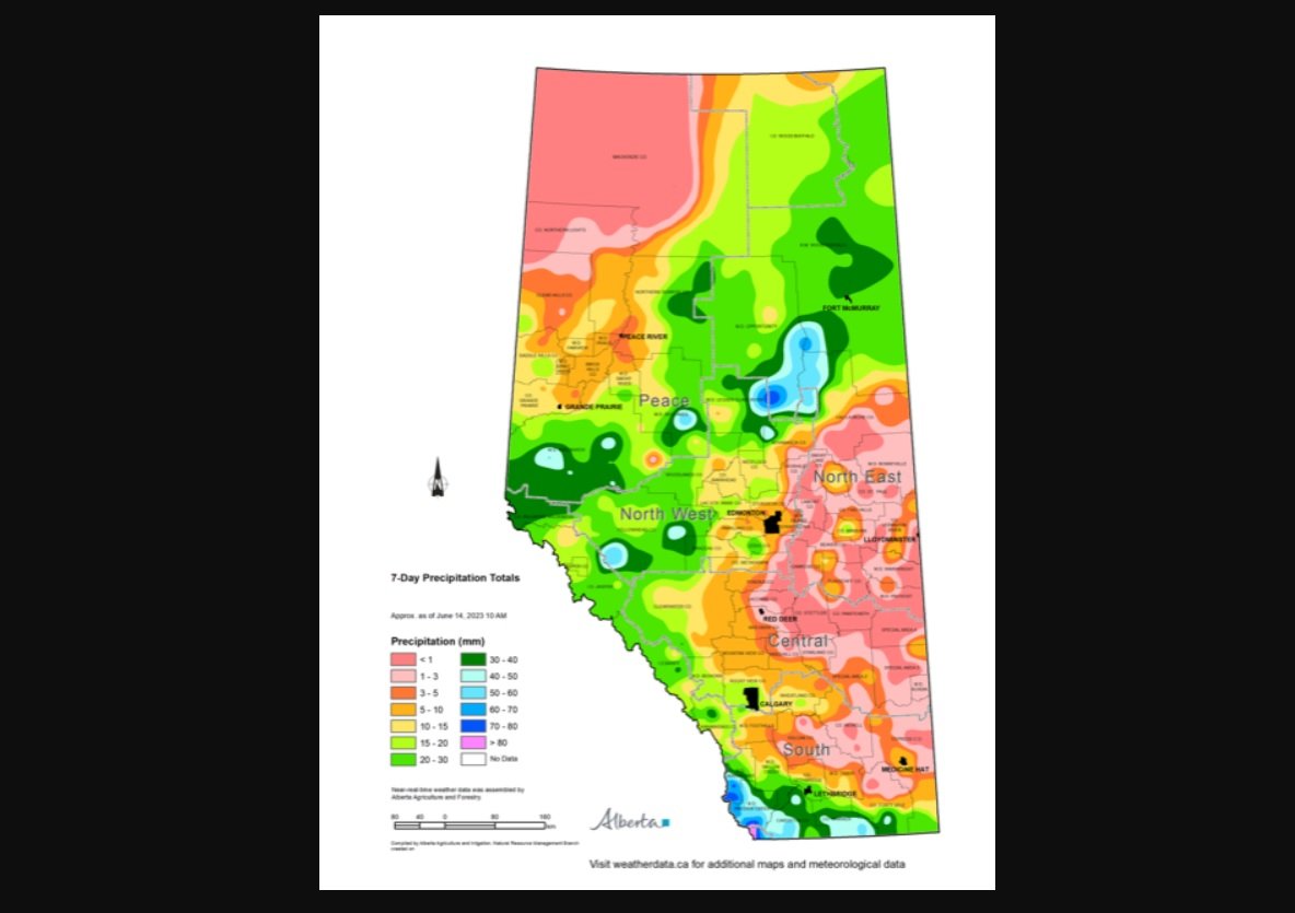 Dry conditions prompt Alberta county to declare agricultural disaster ...