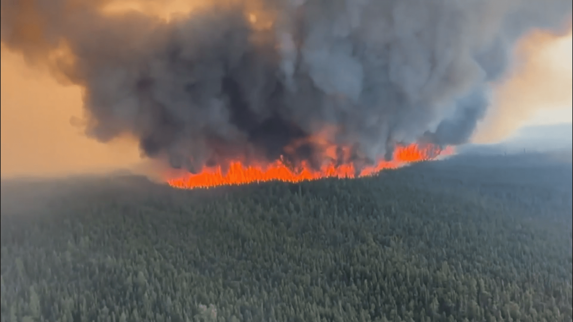'A really big break': Winds push wildfire east, away from Tumbler Ridge - Vimarsana News