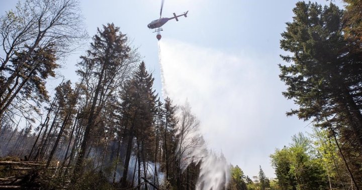 Нова Скотия ще закупи нови водни бомбардировачи с хеликоптери след опустошителния сезон на горските пожари