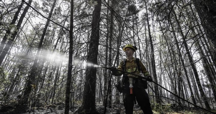 Пожарникарите доброволци може да са на куката за обучение за 2024