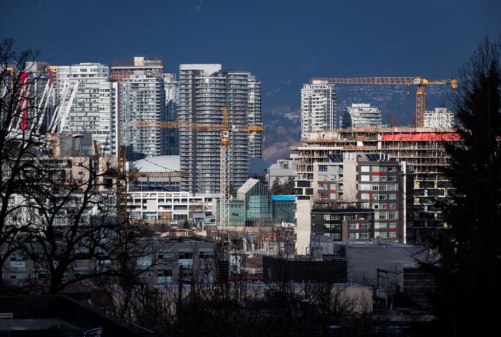 Construction cranes tower above condos under construction near southeast False Creek in Vancouver on February 9, 2020. 