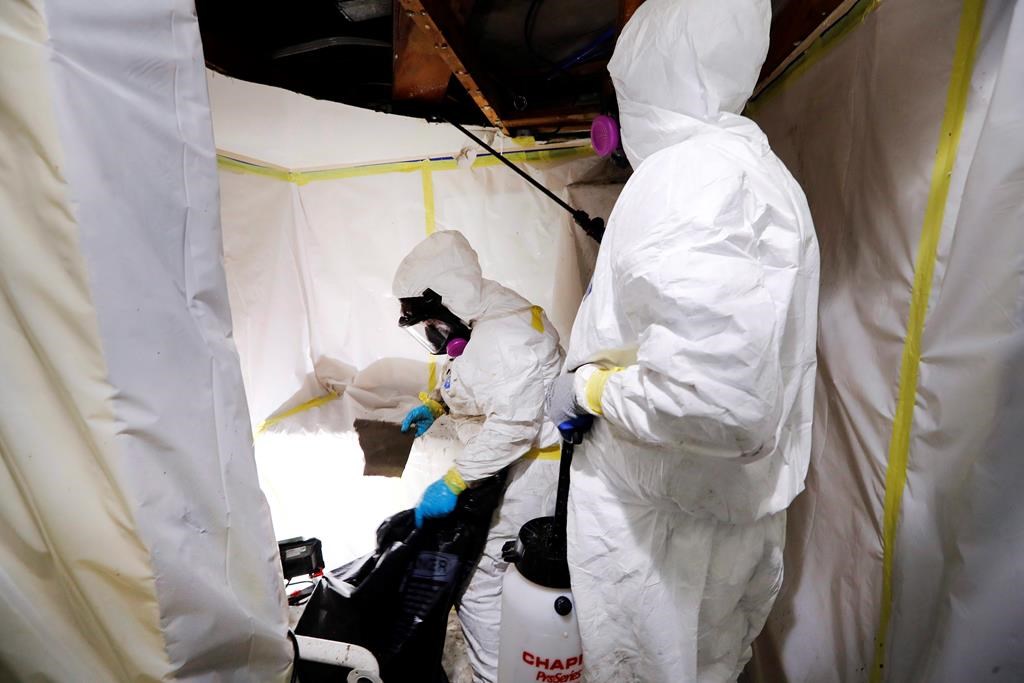 Asbestos Removal Technologies Inc., superintendent Ryan Laitila, right, sprays amended water, as Megan Eberhart bags ceiling material during asbestos abatement in Howell, Mich., Wednesday, October 18, 2017.