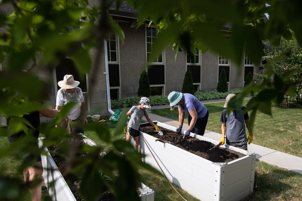Volunteers help plant a community garden for the city's food bank, at St. David's Anglican Church in Edmonton on Saturday, May 27, 2023.