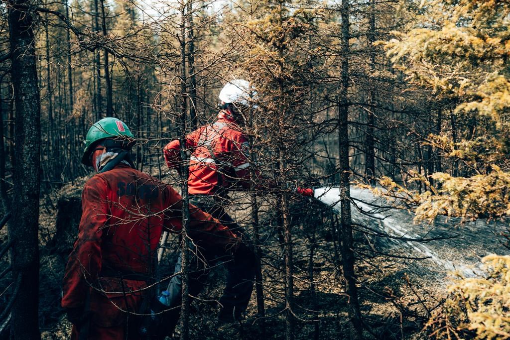 Wildland firefighters spray water on hotspots in a forest near Lac Waconichi, Que., on June 4, 2023. Quebec’s natural resources minister says wilderness firefighters are now taking the offensive against the province’s forest fires, instead of just reacting to the fires.