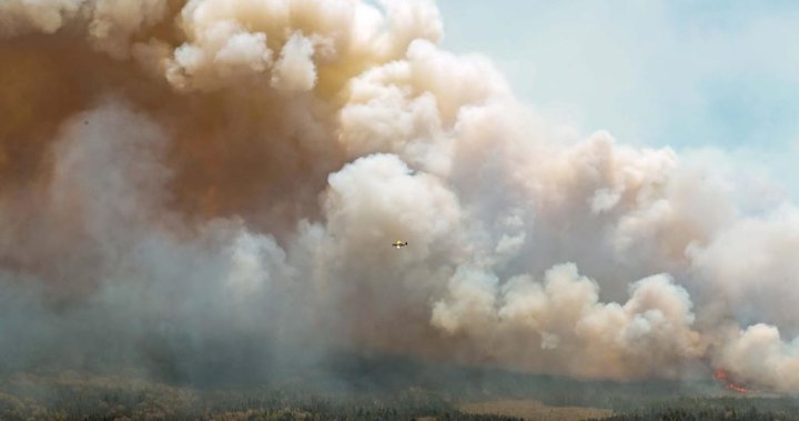 Nova Scotia firefighters using helicopters to locate Shelburne wildfire hot spots