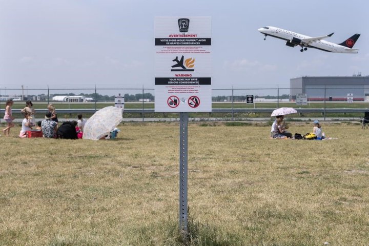 Picnics at Montreal park risk hungry birds colliding with planes: airport