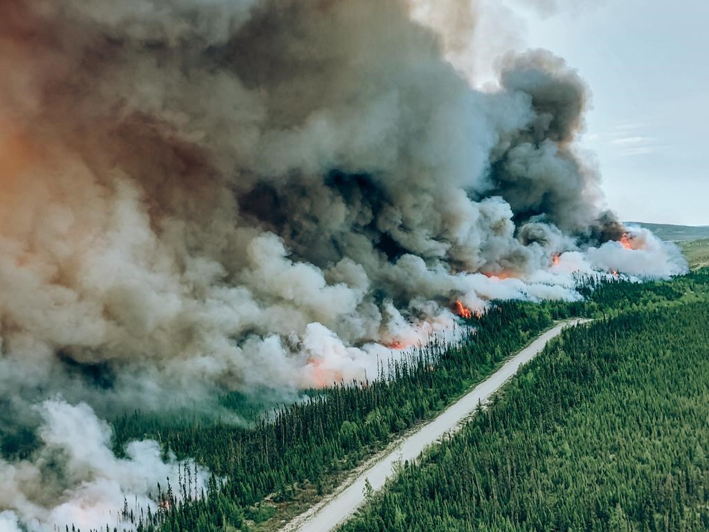 A controlled burn is seen on the edge of a wildfire numbered 334 near Mistissini, Que., in a June 6, 2023, handout photo.