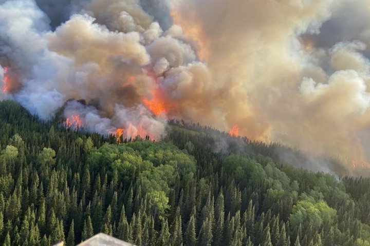 After thousands of kilometres burned, Ontario wildfire season is starting to wind down