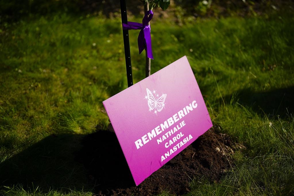 Ontario is rejecting calls from a coroner's inquest into the deaths of three women at the hands of their former partner to formally declare intimate partner violence an epidemic. People take part in a vigil at the Women's Monument in Petawawa, Ont., on June 28, 2022, following the jury's release of recommendations in the inquest into the 2015 deaths of Nathalie Warmerdam, Carol Culleton and Anastasia Kuzyk. THE CANADIAN PRESS/Sean Kilpatrick.