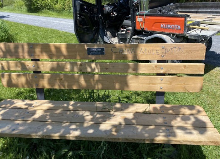 Kingston, Ont. police searching for vandalism suspect - image