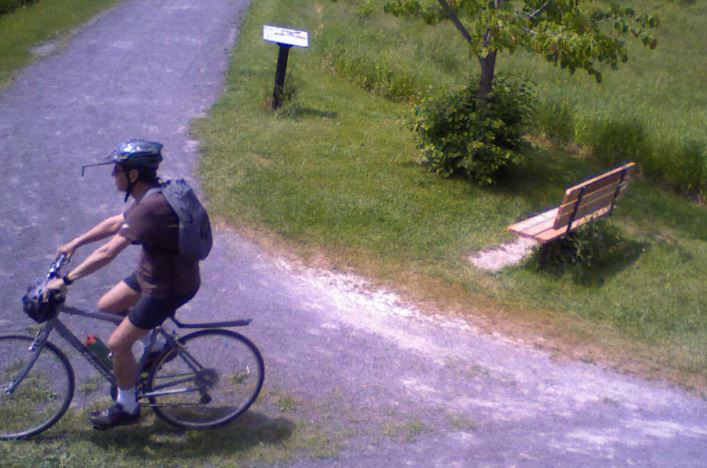 Kingston, Ont. police searching for vandalism suspect - image