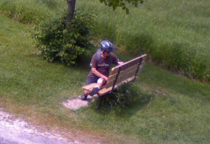 Kingston, Ont. police searching for vandalism suspect - image