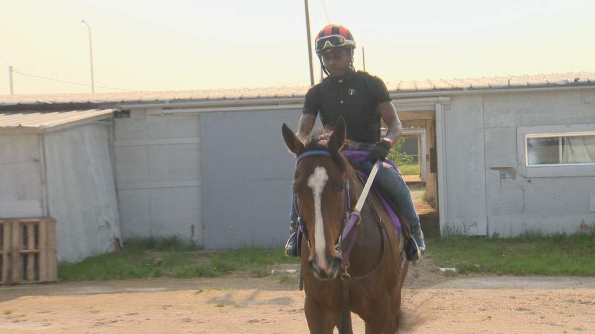 Whitehall says he often rides about 10 to 15 horses a morning.