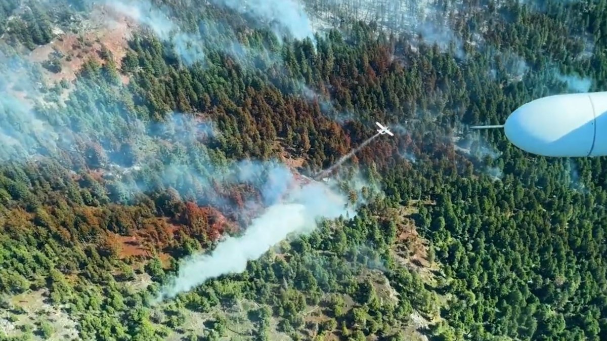 FILE. An aerial view of the Pigeon Creek wildfire that was burning just west of Peachland in the Central Okanagan.