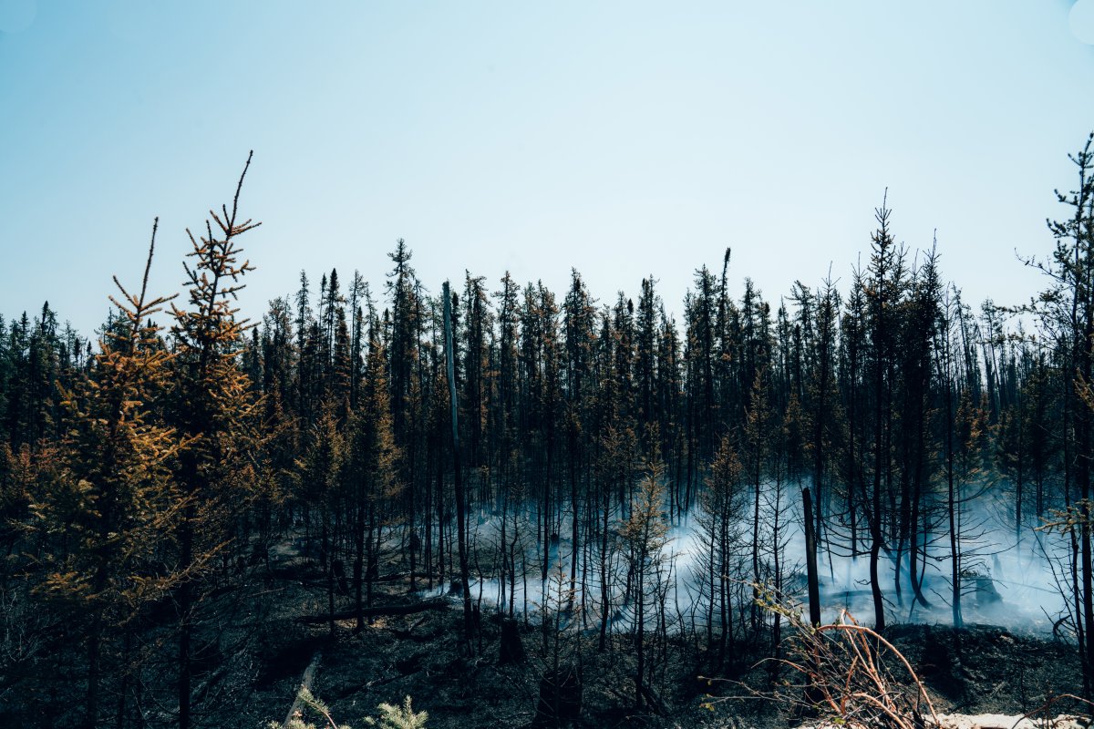 Smoke rises from burning trees near Chapais, in Northern Quebec, on Friday June 2, 2023 in this image provided by the fire prevention agency known as SOPFEU.