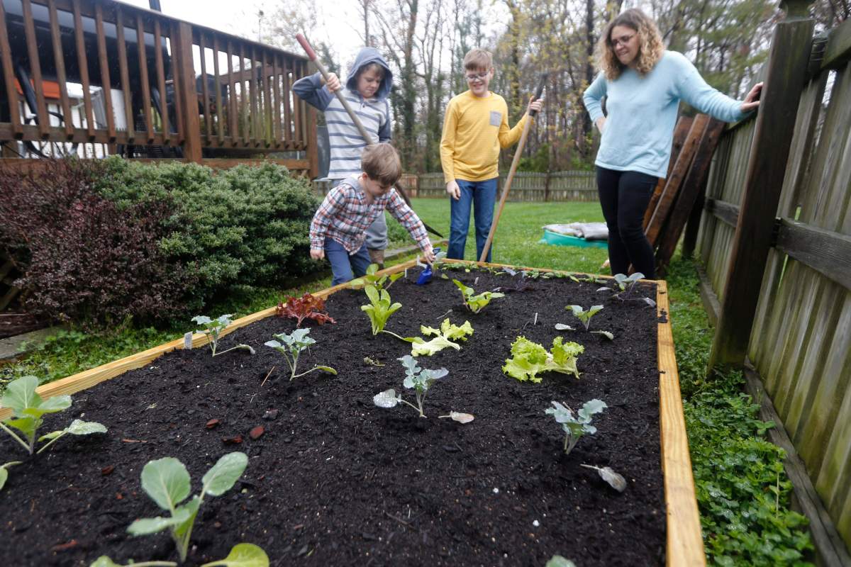 Stephanie Owens, right, looks over the garden with her son, Cole, left, Reid, top left, and Lucas, top center, as they tend to it at their home Wednesday March 25 , 2020, in Glen Allen, Va. Owens is a pharmacist who has had to continue to go to work, but has been able to spend more time with her kids because they are home from school . One of the activities that they have done is planting the garden.