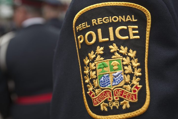 22 stolen vehicles worth $1.9M recovered, 6 people charged: Peel police