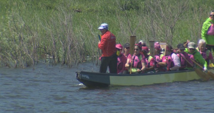 Former Olympian inspires Winnipeg cancer survivors in Dragon Boat coaching session – Winnipeg | Globalnews.ca
