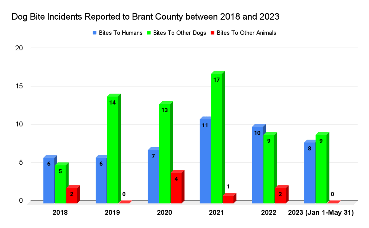 Ontario dog bite victims say government laws ‘toothless’ after vicious attacks - image