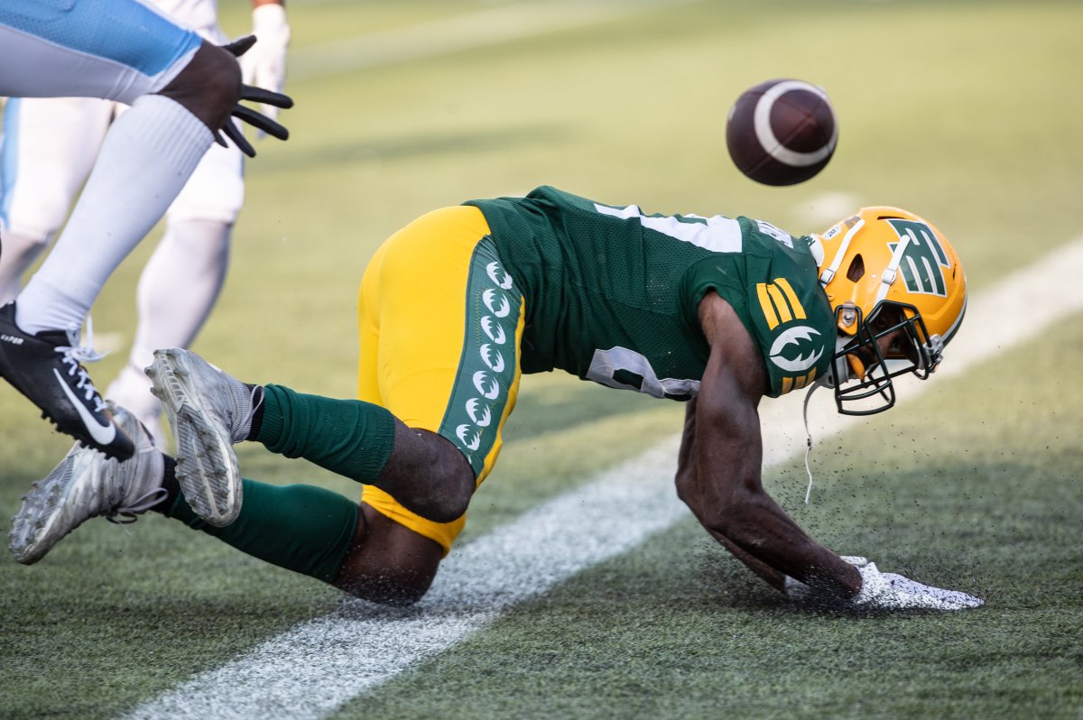 Edmonton Elks receiver Eugene Lewis has the ball punched out near the Argos goal line.