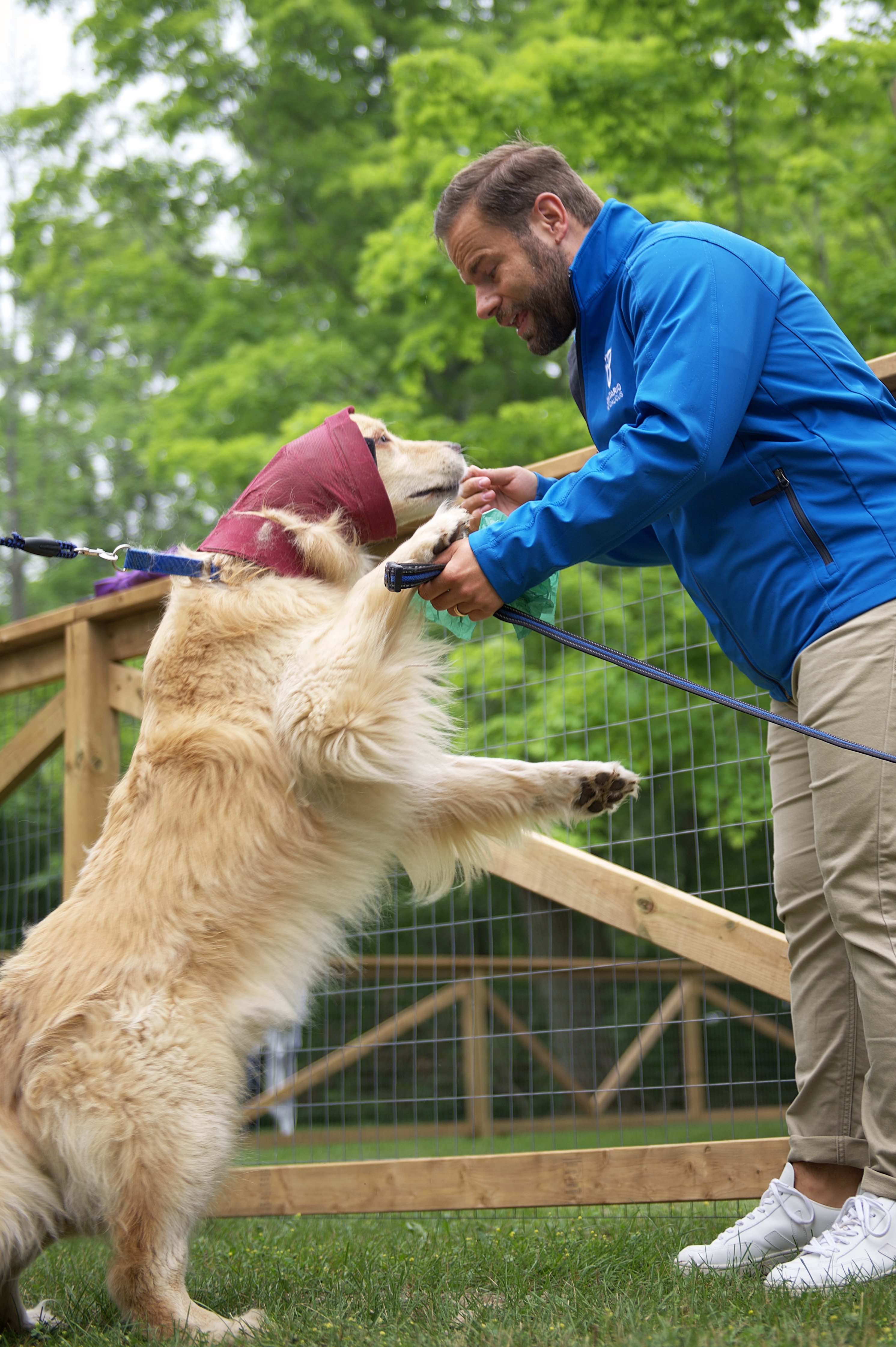 Off Leash Dog Park Opens At Ferris Provincial Park Near Campbellford   Ferris1 