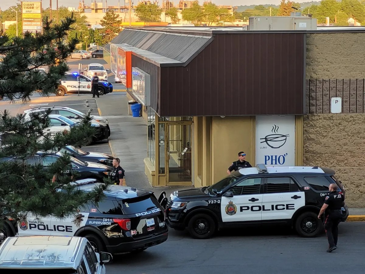 Police say they arrested a Hamilton, Ont. man Saturday night at a business in the city's east end after an incident involving a firearm near Queenston Road and Centennial Parkway South.
