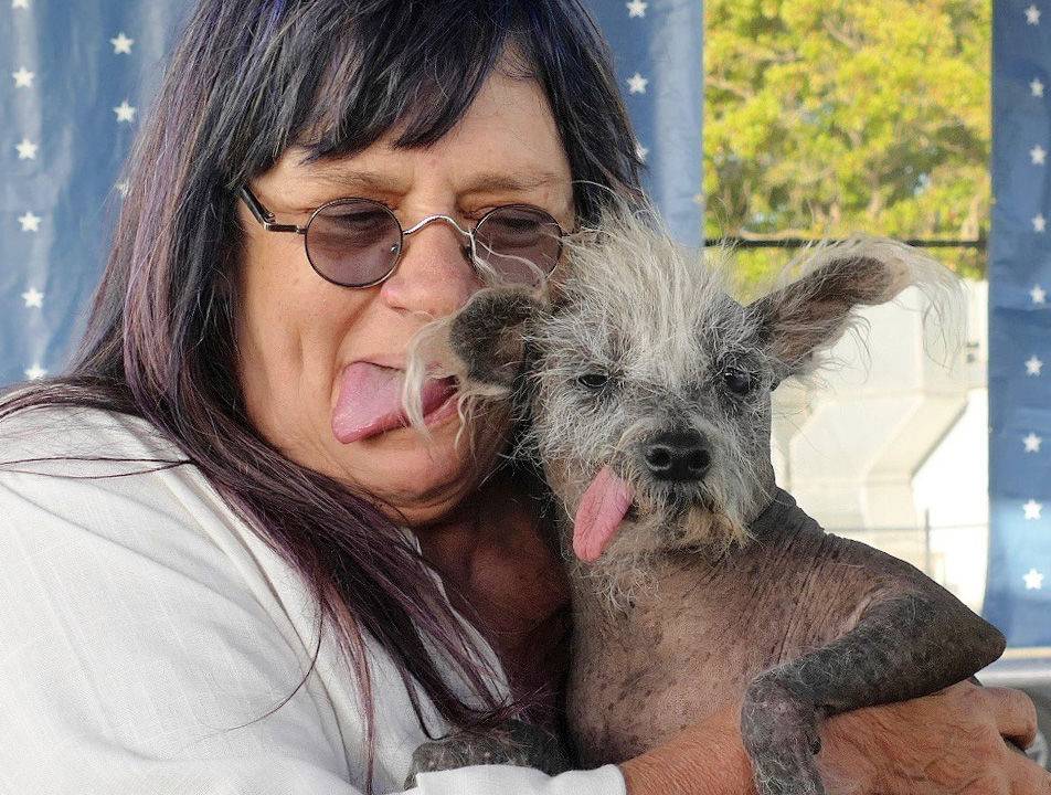 Scooter, the 2023 World's Ugliest Dog winner, shows off backward-facing legs - Vimarsana News