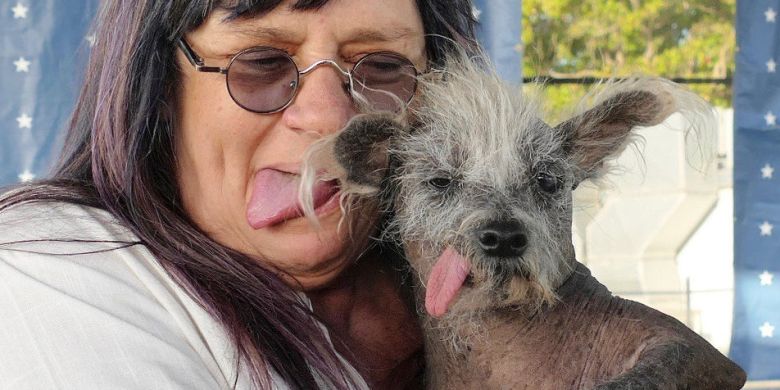 Scooter, the 2023 World's Ugliest Dog winner, shows off backward-facing legs
