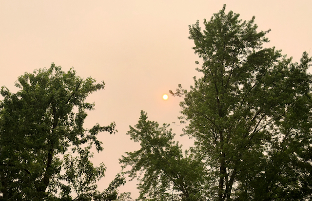 The hazy sky continues on June 5, 2023 for the Peterborough area.
