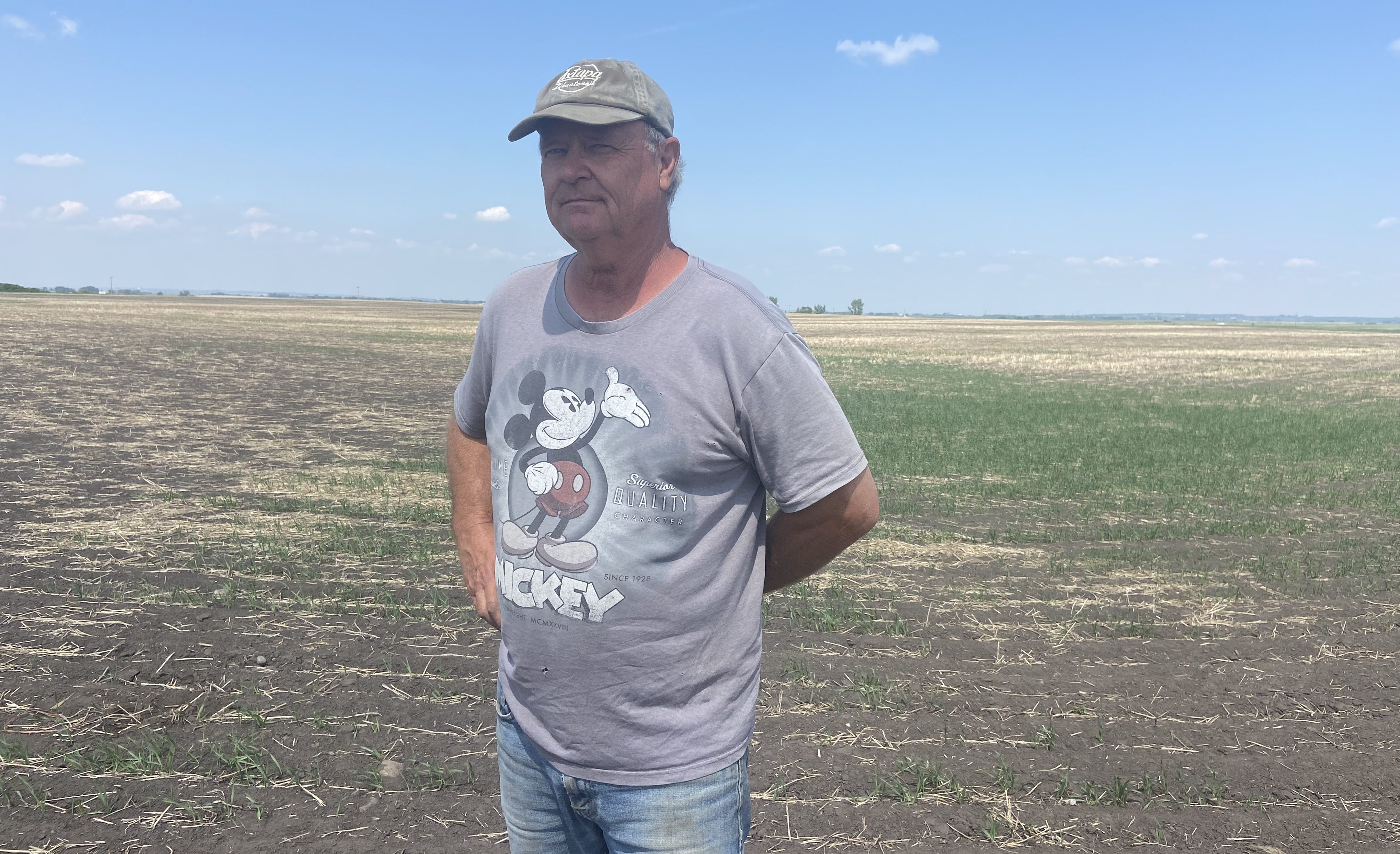 Hot and dry conditions could produce ‘catastrophic’ situation for Alberta ranchers  | 24CA News