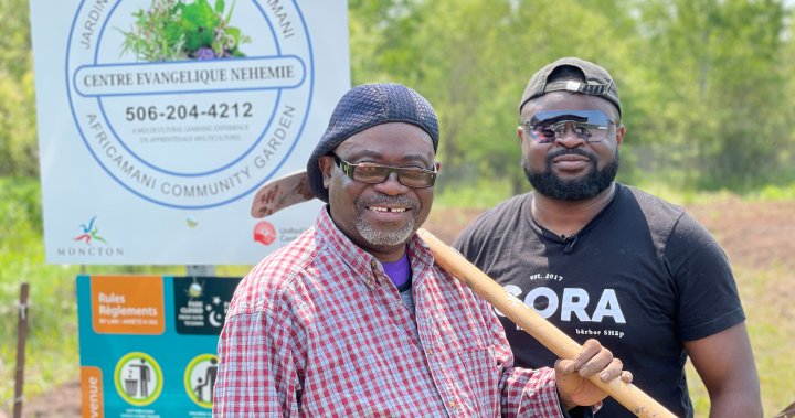 N.B. father and son cultivate peace through Africamani Community Garden