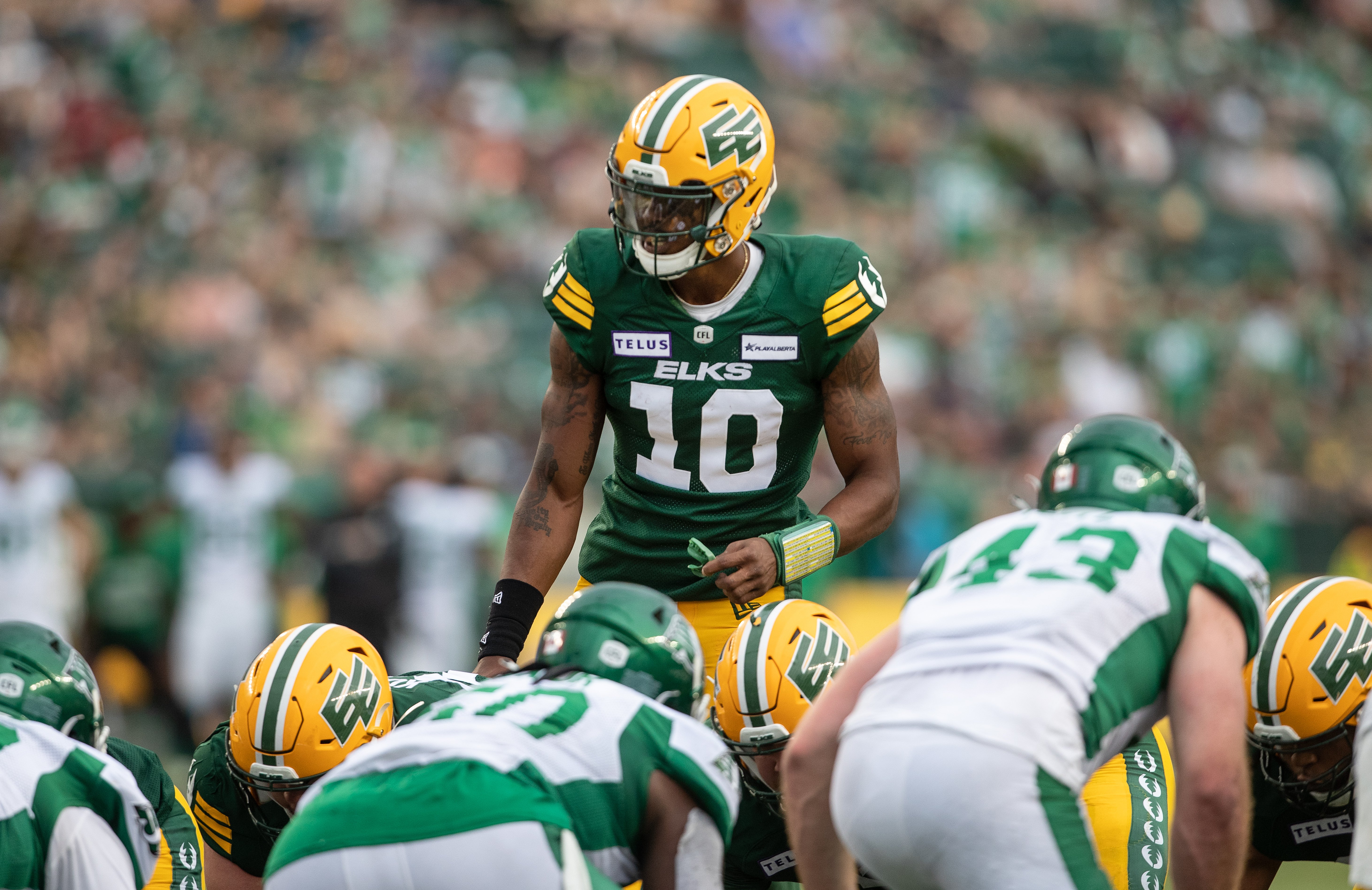 Edmonton Elks take to the road looking for win number one against the Lions - Edmonton - Vimarsana News