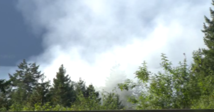 Wildfire crews battling fire near Lions Bay – BC | Globalnews.ca