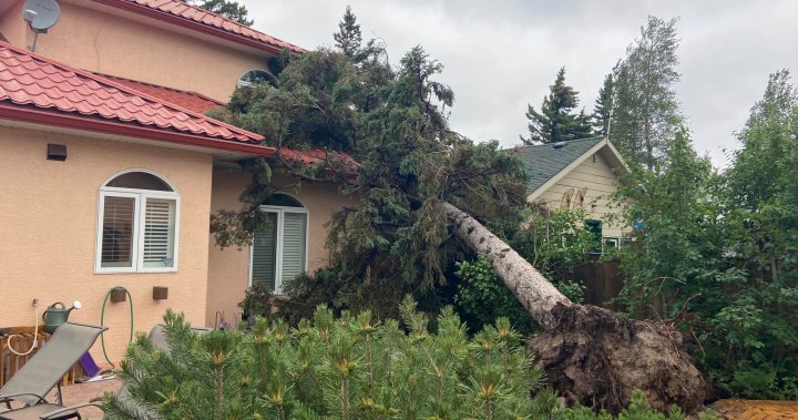 Storm downs trees, damages homes in Pigeon Lake community of Ma-Me-O Beach