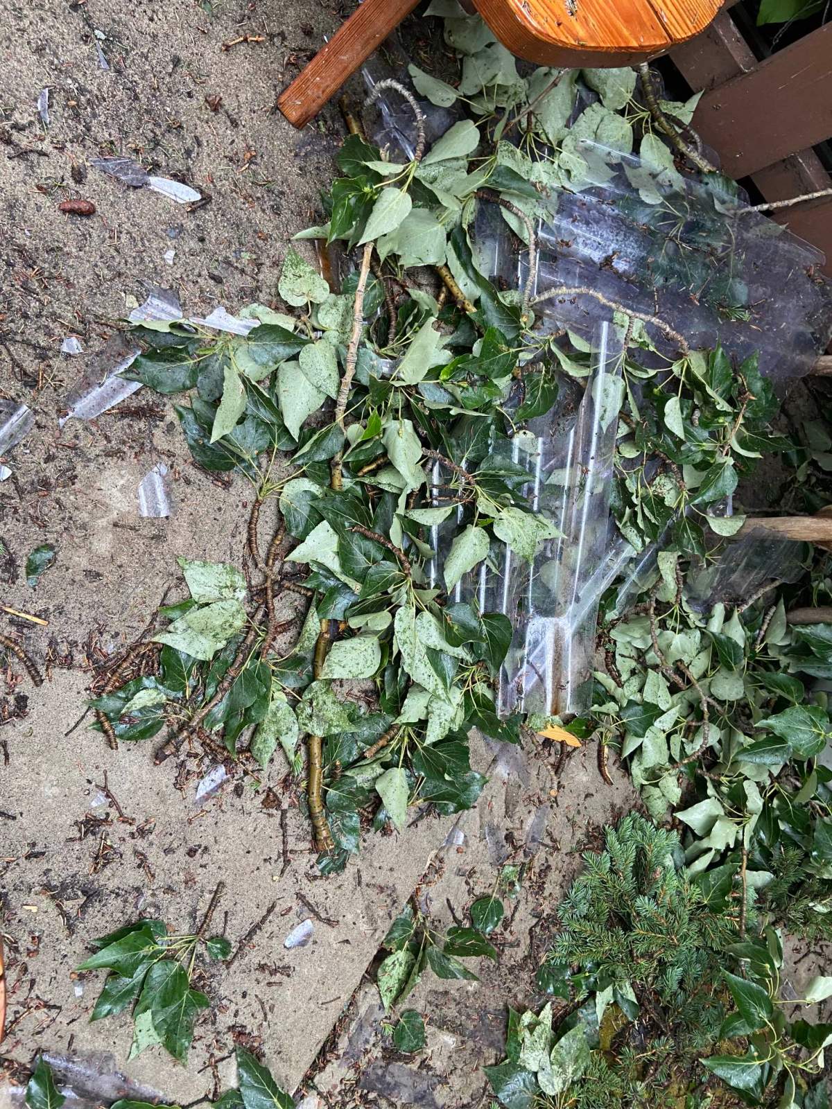Storm damage in Ma-Me-O Beach on Pigeon Lake in central Alberta on Wednesday, June 14, 2023.