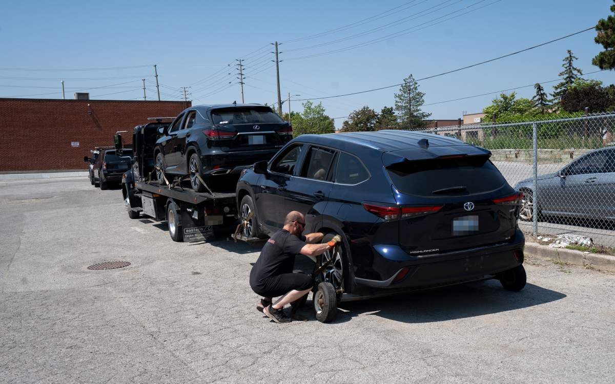 Around $10M in stolen vehicles recovered by police in York Region - image
