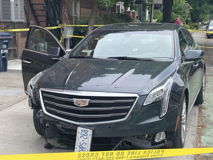 A police gun was discharged during a vehicle theft investigation and the SIU has been informed, Toronto police said.