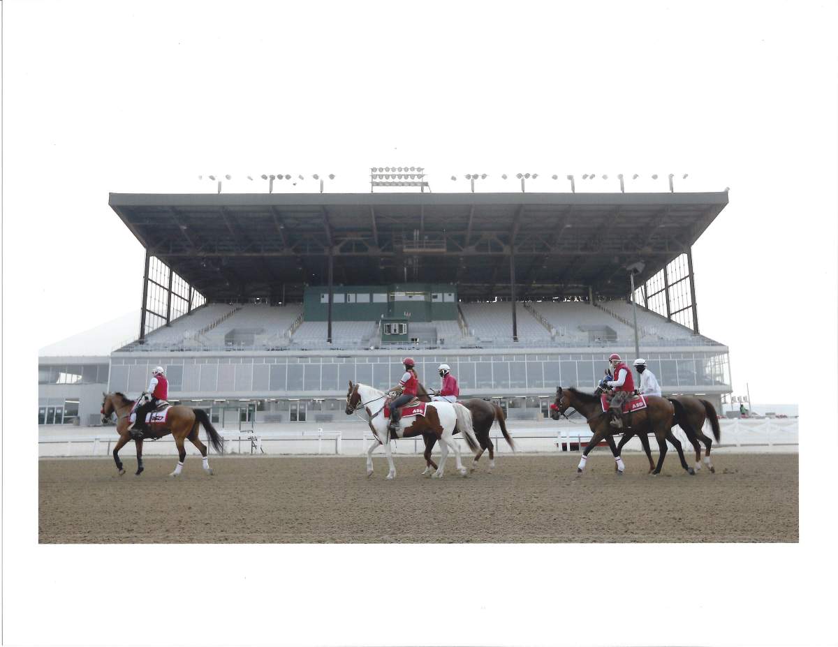 Horses in front of an empty grandstand during pandemic lockdowns in 2021.