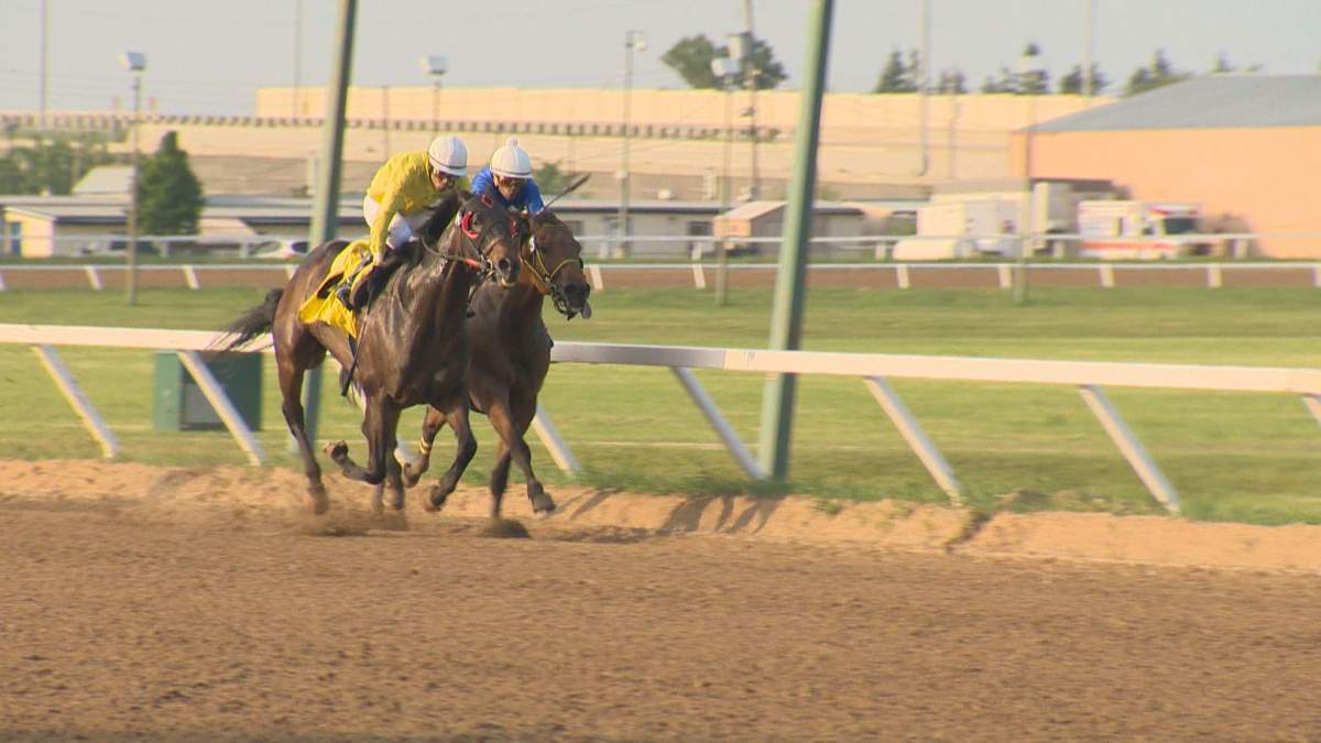 Racing to the finish line at the Assiniboia Downs in June 2023.