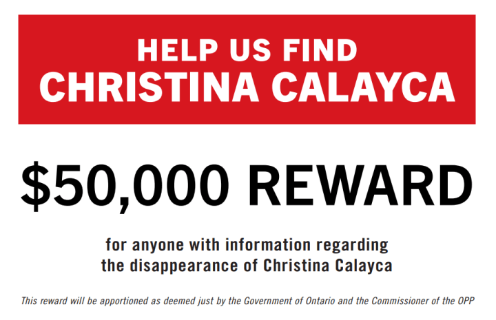 Disappeared without a trace: Renewed appeal for info in case of Toronto woman missing since 2007 - image